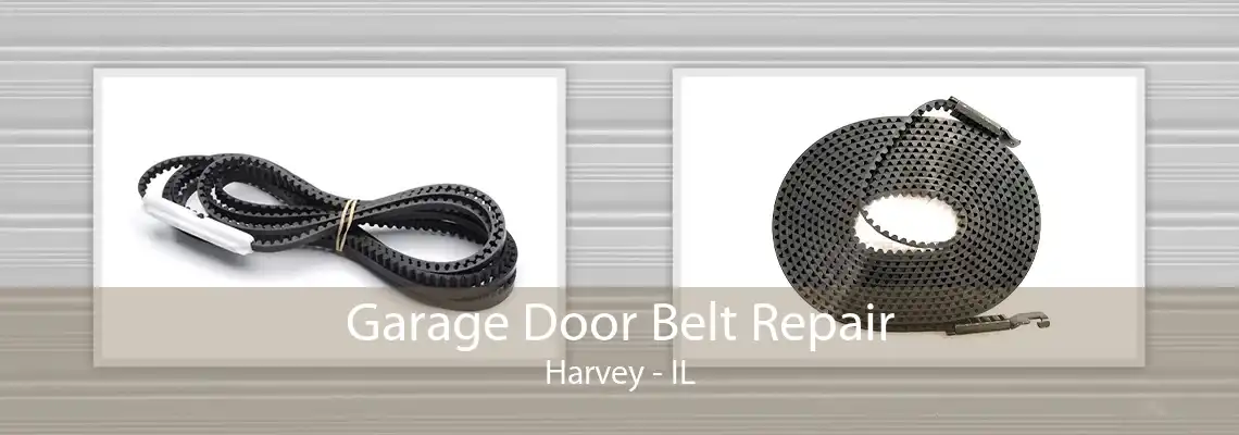 Garage Door Belt Repair Harvey - IL