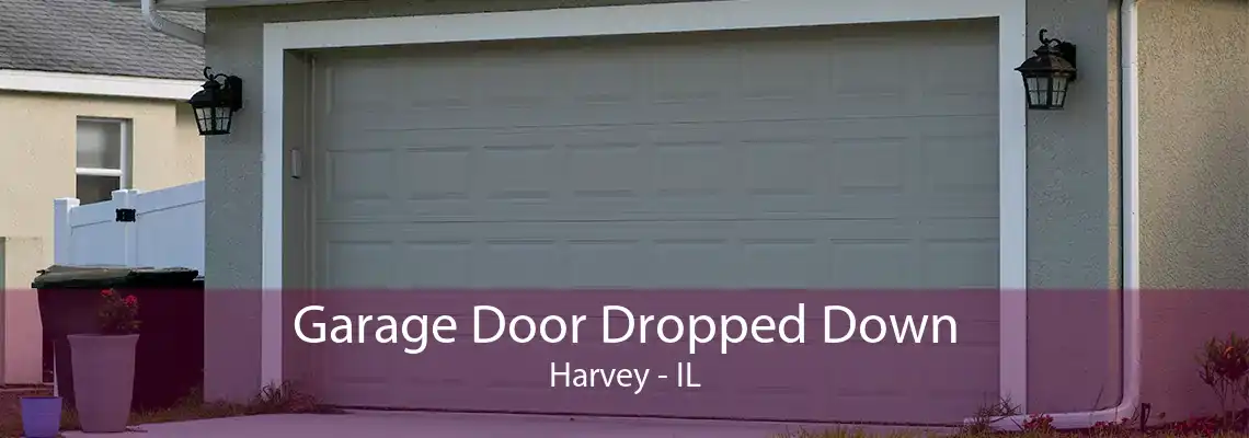 Garage Door Dropped Down Harvey - IL