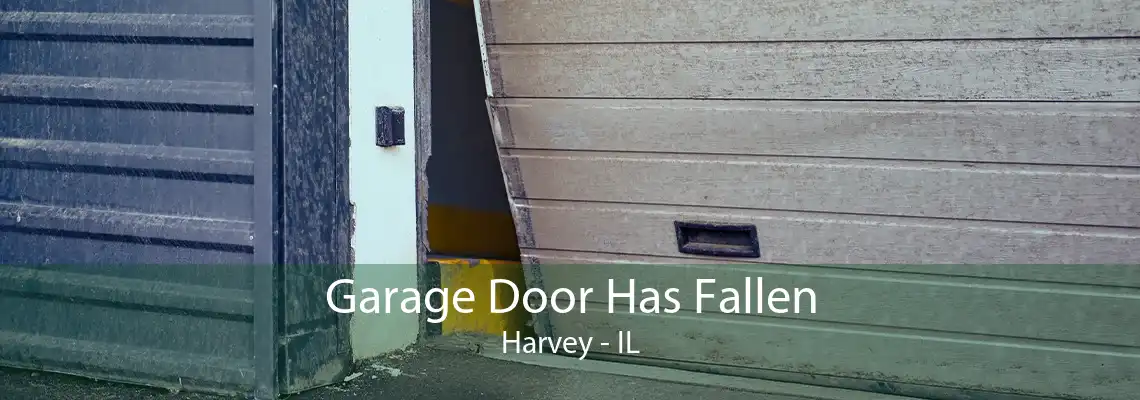 Garage Door Has Fallen Harvey - IL