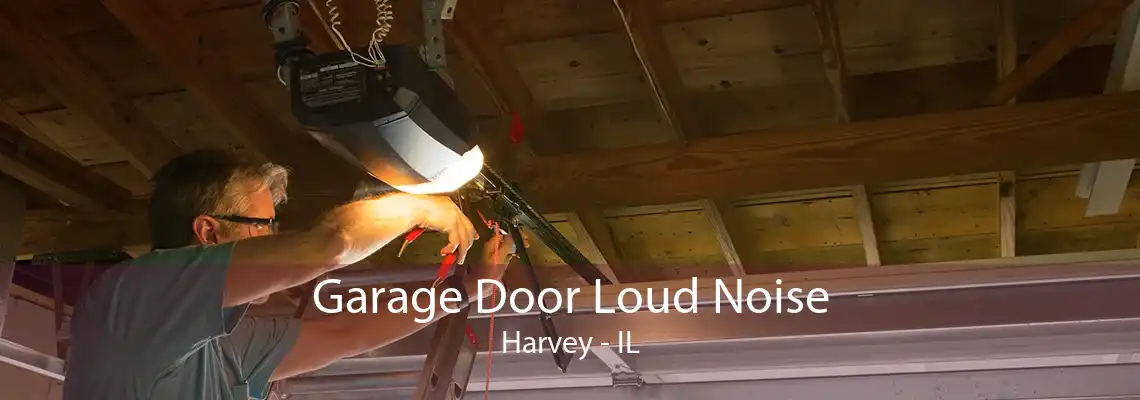 Garage Door Loud Noise Harvey - IL