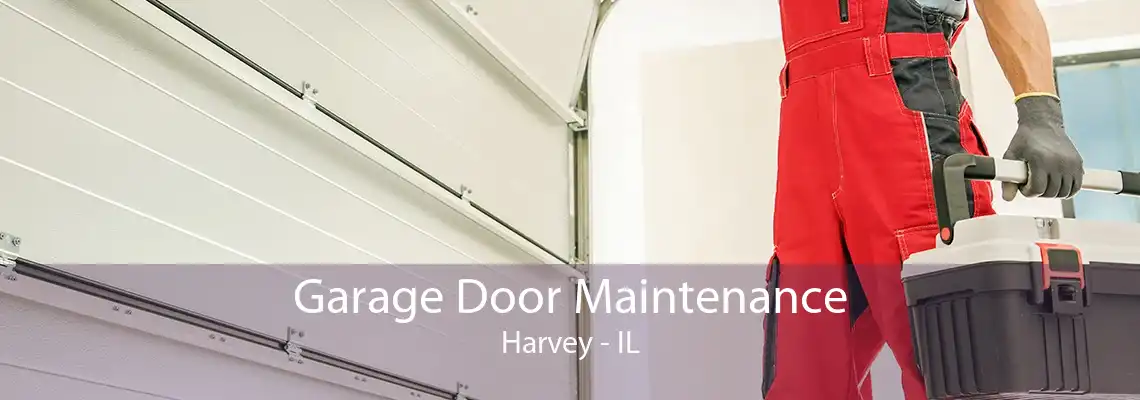 Garage Door Maintenance Harvey - IL