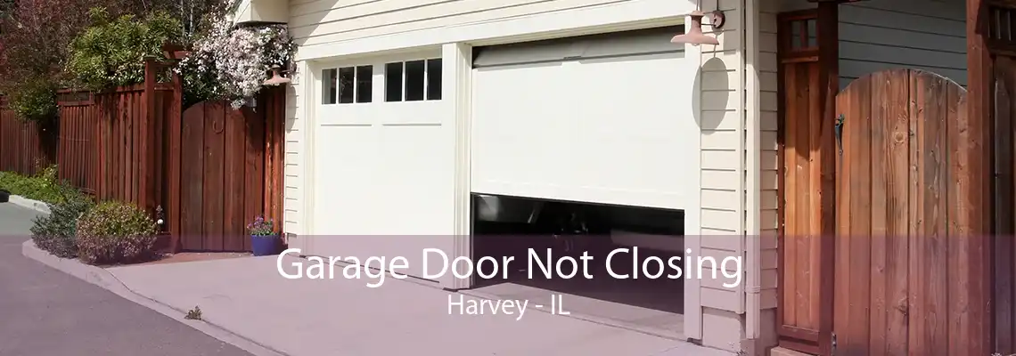 Garage Door Not Closing Harvey - IL