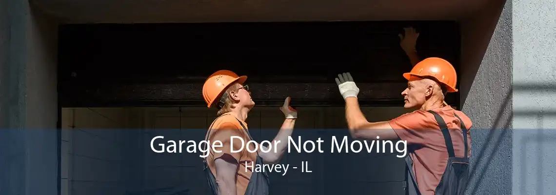 Garage Door Not Moving Harvey - IL