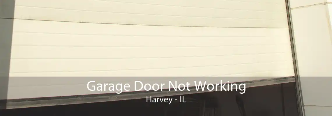 Garage Door Not Working Harvey - IL