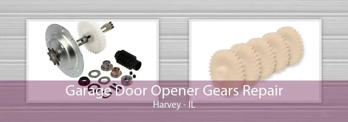 Garage Door Opener Gears Repair Harvey - IL