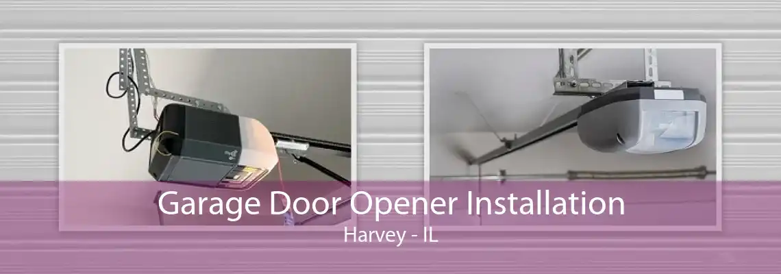 Garage Door Opener Installation Harvey - IL