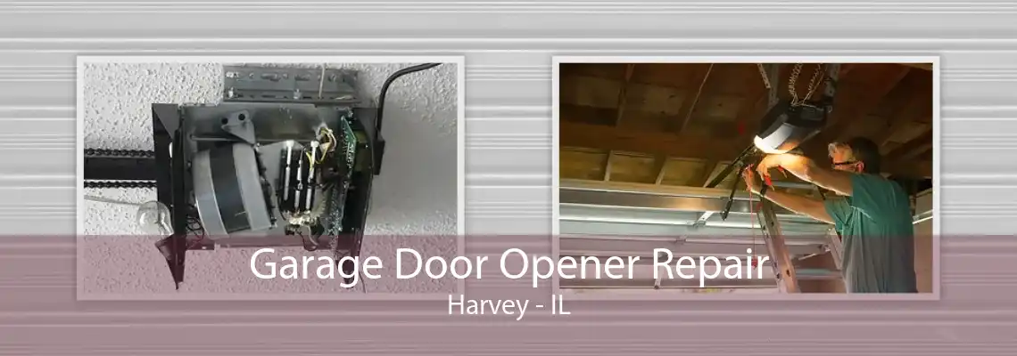 Garage Door Opener Repair Harvey - IL