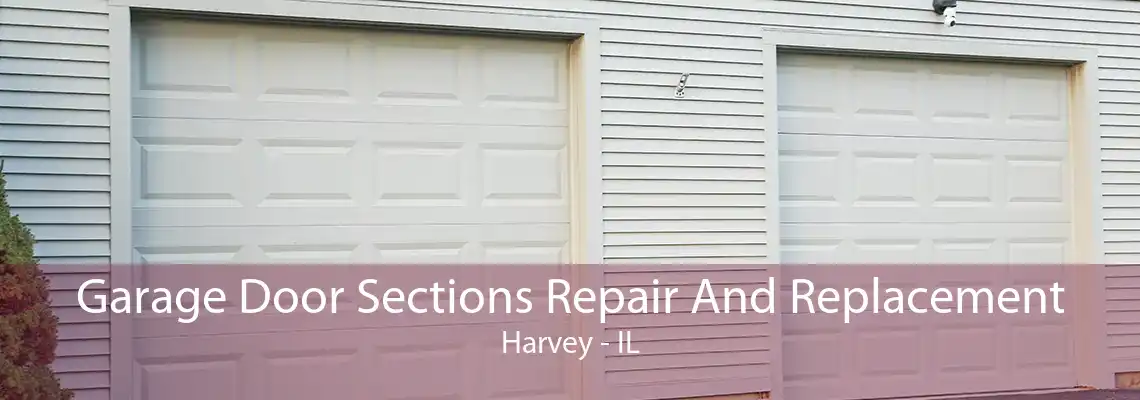 Garage Door Sections Repair And Replacement Harvey - IL