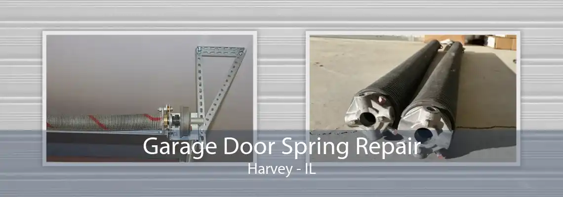 Garage Door Spring Repair Harvey - IL