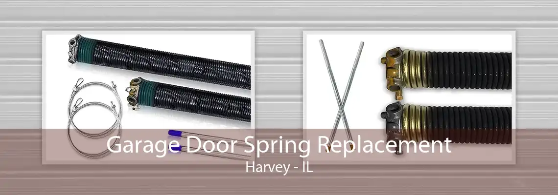 Garage Door Spring Replacement Harvey - IL