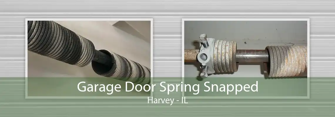 Garage Door Spring Snapped Harvey - IL