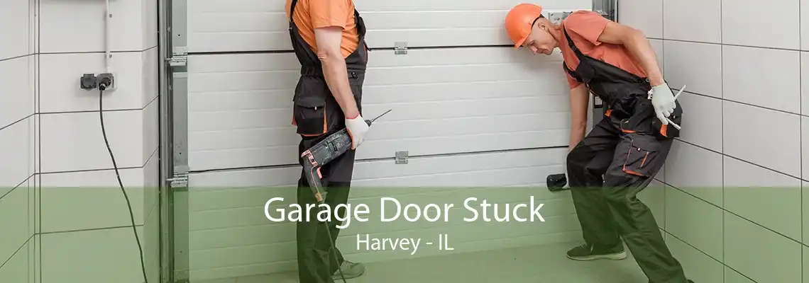 Garage Door Stuck Harvey - IL