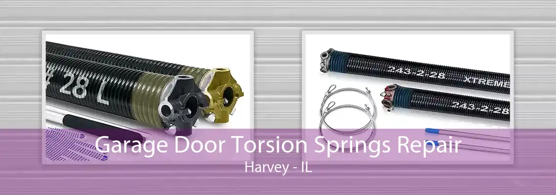 Garage Door Torsion Springs Repair Harvey - IL