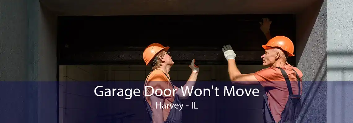 Garage Door Won't Move Harvey - IL