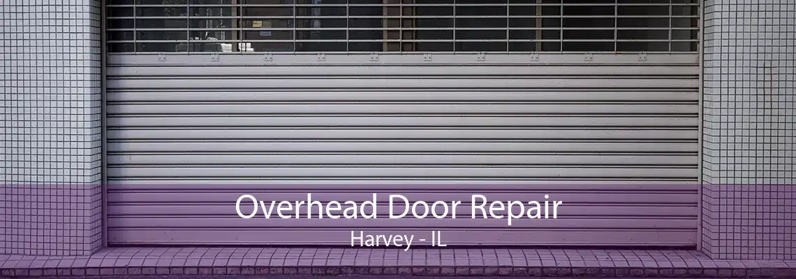 Overhead Door Repair Harvey - IL