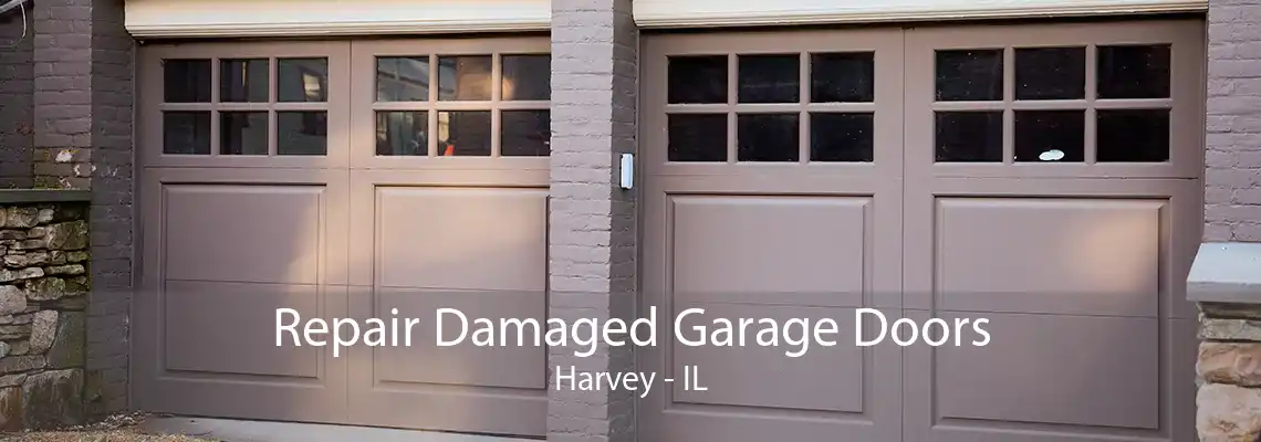 Repair Damaged Garage Doors Harvey - IL